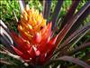 Jardin Botanico (4)
